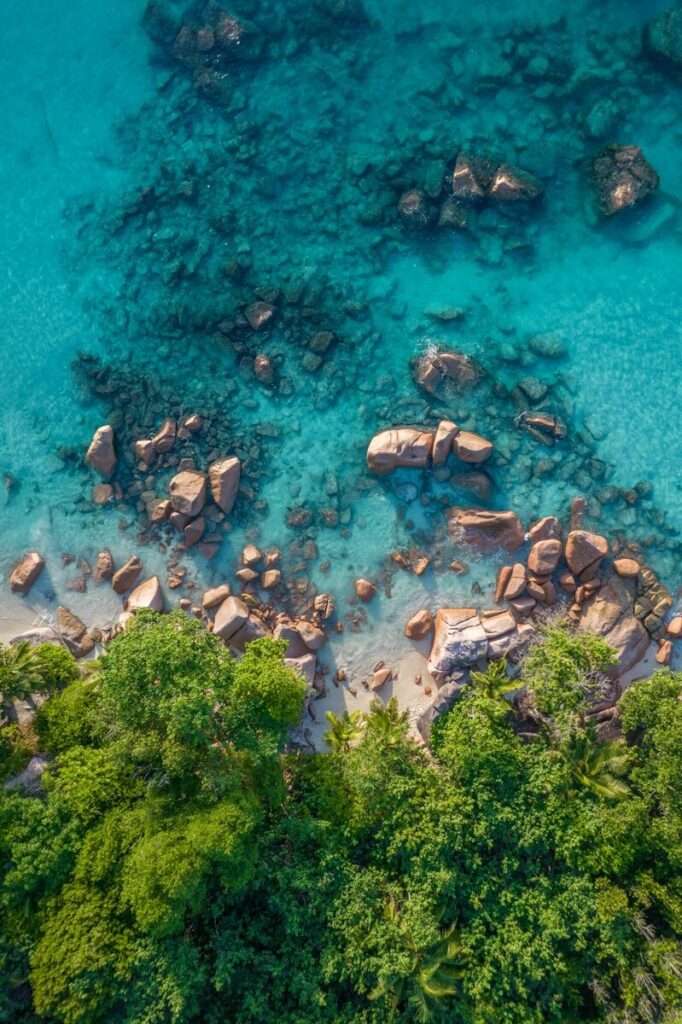 a body of water with rocks and trees around it