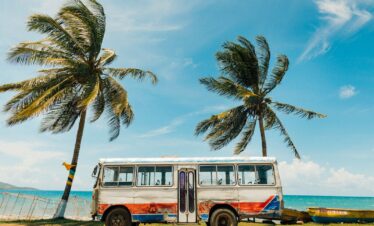 white and blue bus near palm tree under blue sky during daytime