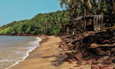 a sandy beach next to the ocean with palm trees
