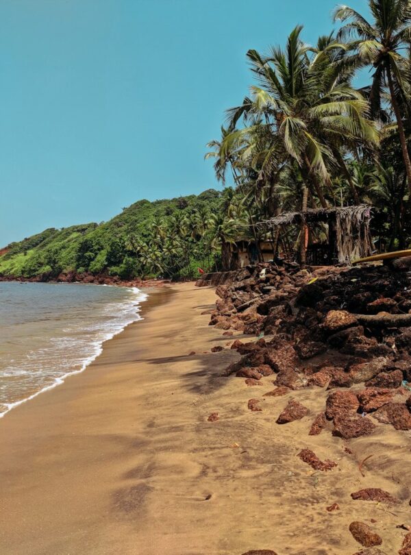 a sandy beach next to the ocean with palm trees