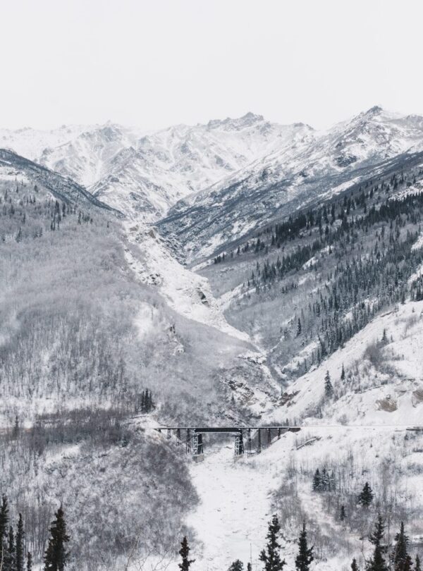 black bridge surrounded by mountain covered with snow under white sky