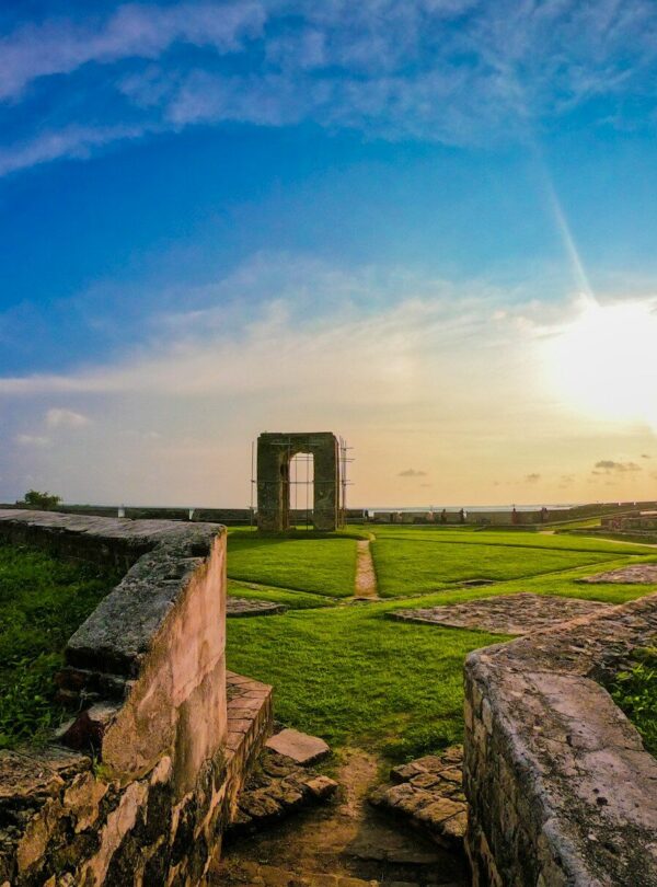 green grass field under blue sky during daytime