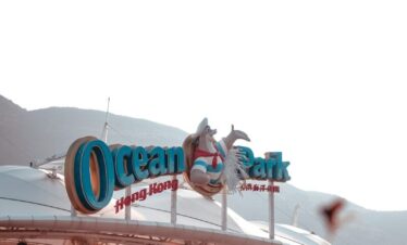 people walking on ice field during daytime