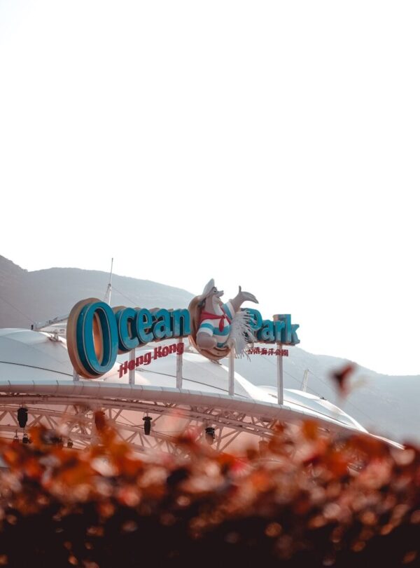 people walking on ice field during daytime