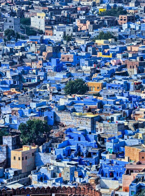 a large group of blue buildings in a city