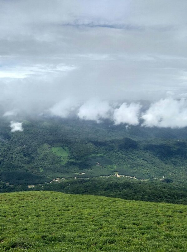a lush green hillside covered in clouds and grass