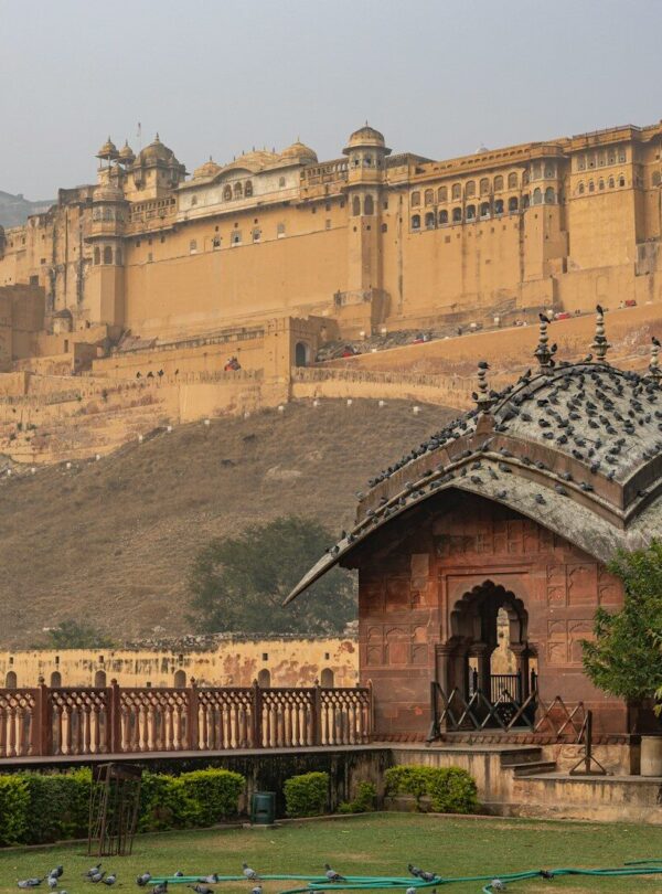 a view of a castle from a distance