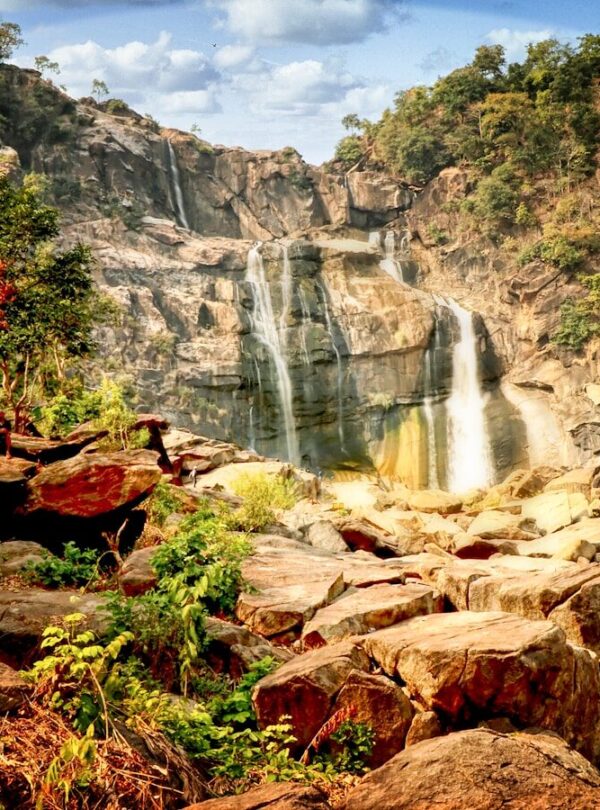 waterfalls in the middle of forest during daytime