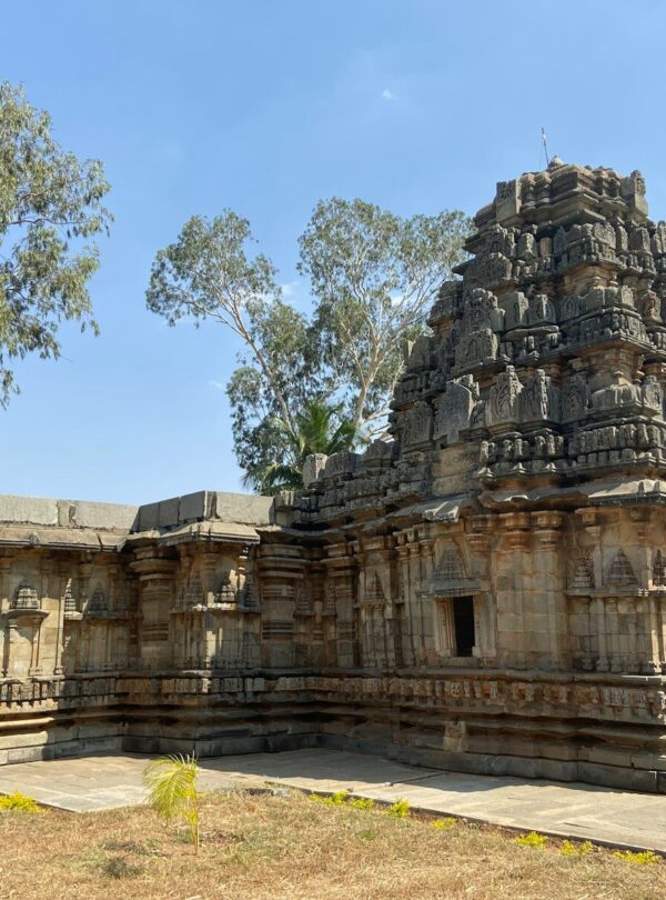 a large stone structure with a tree in the background