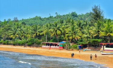 people on beach during daytime