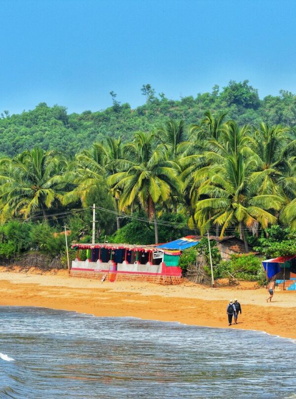 people on beach during daytime