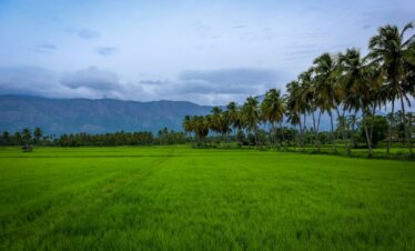 green grass field with trees under white clouds and blue sky during daytime