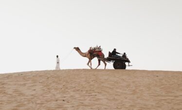 man riding camel on desert during daytime