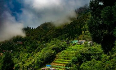cloudy forest with houses on foot of hill