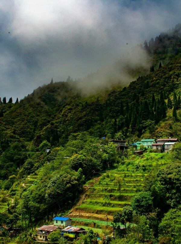 cloudy forest with houses on foot of hill